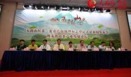 五指山新闻爆料,揭秘神秘事件背后真相