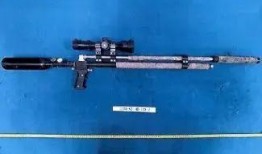 枪刑视频在线观看,枪刑视频在线观看全程解析