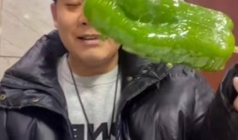 吃瓜网红情报处完整版,完整版内幕大公开