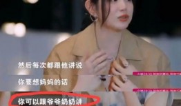 刘大锤爆料谢娜视频,揭秘幕后的真实瞬间