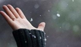 被舍弃的人在线观看,揭开尘封往事的悲怆人生