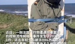 法国飞行员爆料视频,法国航班惊险瞬间内幕曝光