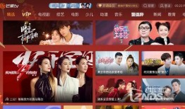 湖南电视卫视直播在线观看,精彩瞬间，一键观看