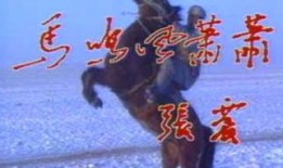 风萧萧 在线观看,穿越时空的浪漫传奇