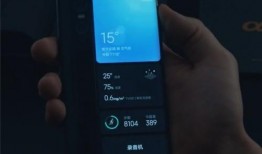 阿尔法最新爆料消息视频,揭秘神秘视频背后的惊人真相