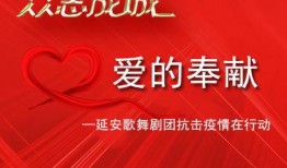 爱的奉献在线观看,温情演绎，感人至深的在线观看之旅