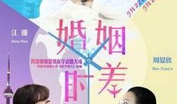 婚姻时差全集在线观看,跨越时空的爱情故事