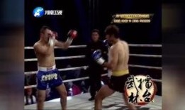 武林风爆料完整视频,完整视频背后的精彩瞬间