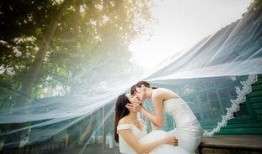 伪婚男女电影在线观看,揭秘虚拟婚姻背后的真实情感纠葛