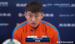 记者爆料李霄鹏视频,揭秘足球名帅的幕后故事