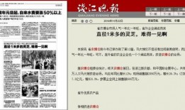 芗城新闻爆料网站有哪些,聚焦民生热点，传递社会声音