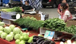 西安菜市场爆料案件最新,真相揭秘，涉案细节曝光