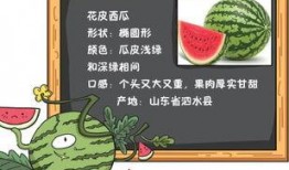 吃瓜挑拨小说免费阅读