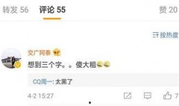 阿尔法最新爆料消息视频,揭秘神秘视频背后的惊人真相