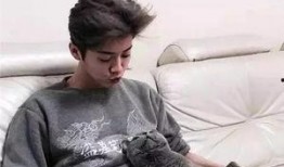 刘以豪女友爆料视频大全,甜蜜瞬间与幕后故事大揭秘